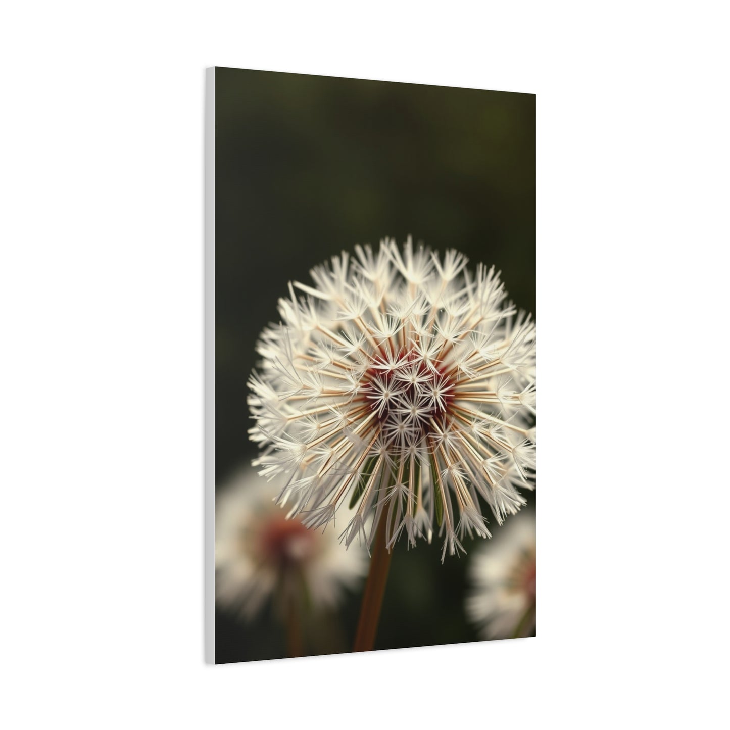 Dandelion Flower Art Supreme Canvas Wall Art & Canvas Print