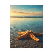 Starfish Resting in Shallow Sunset Waters Wall Art & Canvas Prints