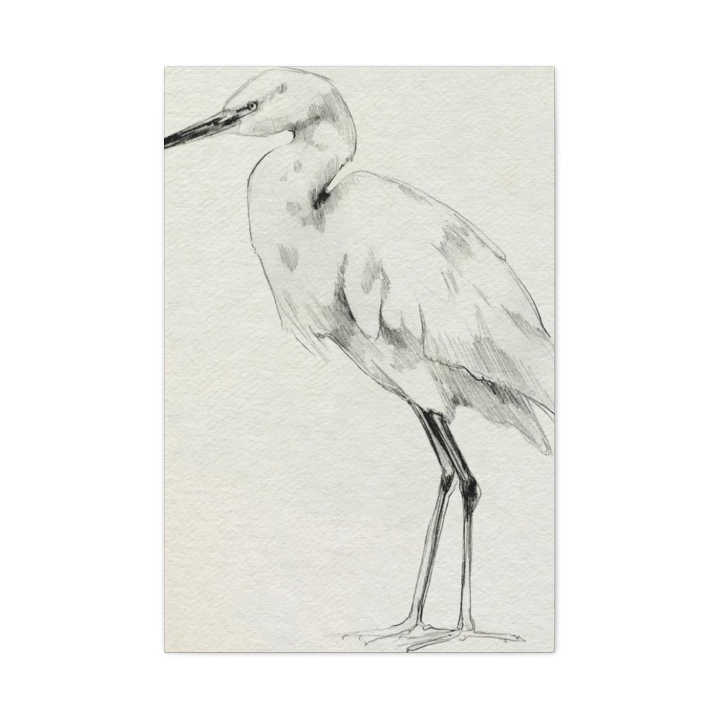 Herons Drawing Wall Art & Canvas Prints
