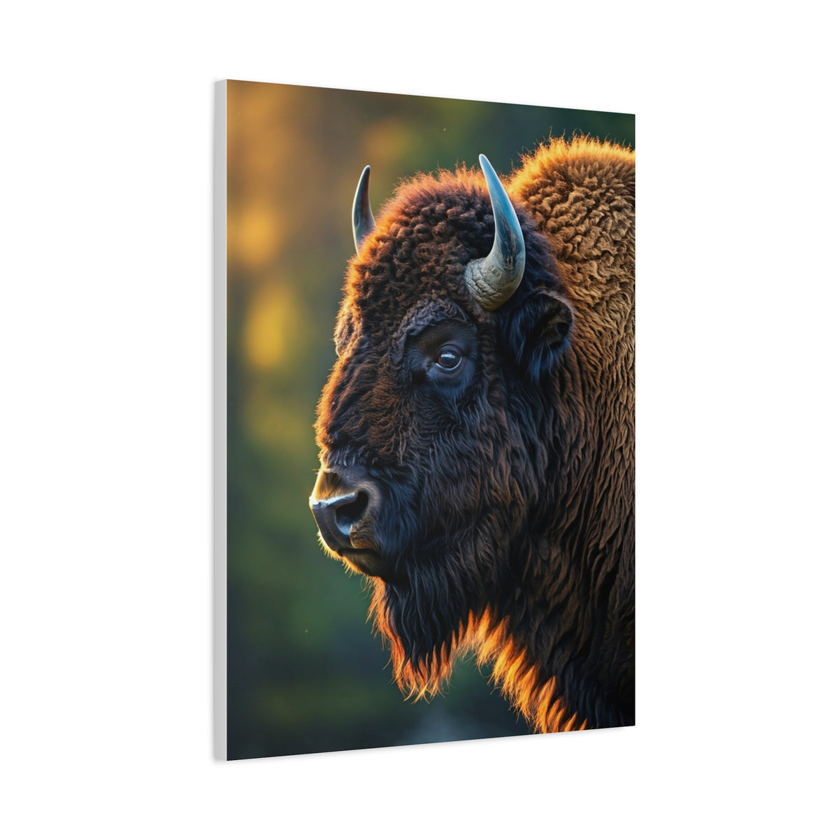 Golden Hour Bison Side Profile Wall Art & Canvas Print