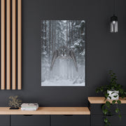 Great Grey Owl Winter Flight Wall Art & Canvas Print