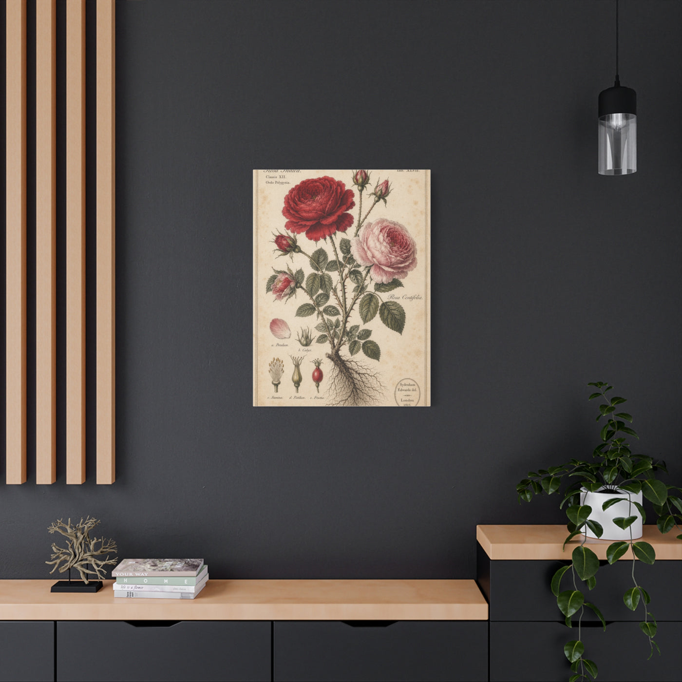 Victorian Rose Botanical Study Wall Art & Canvas Print