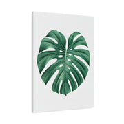 Monstera Leaf Modern Botanical Wall Art & Canvas Prints
