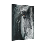 Horse Eye Intimate Monochrome Wall Art & Canvas Print