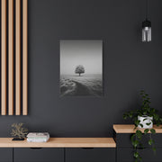 Lone Tree Winter Field Wall Art & Canvas Print