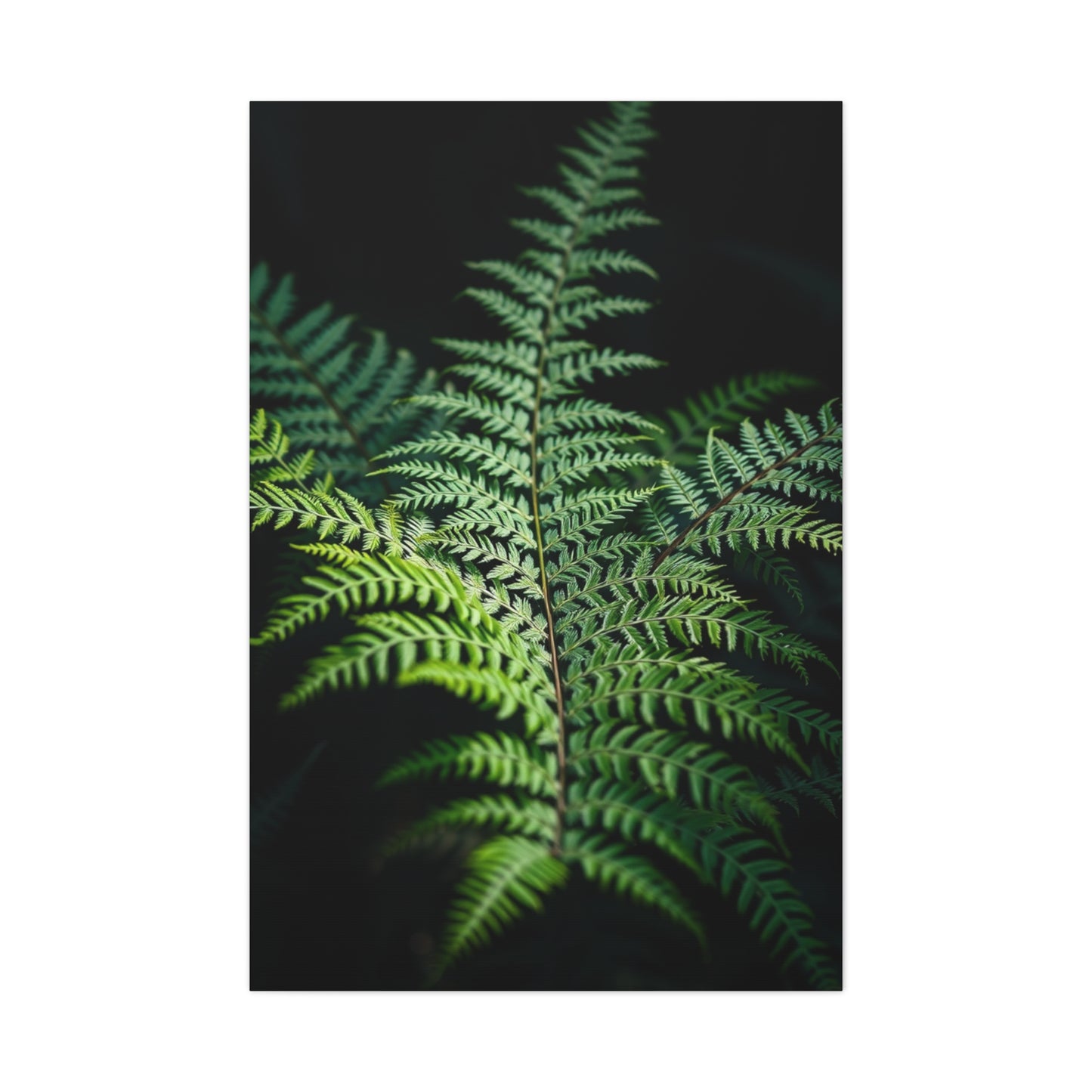 Fern Art Refined Canvas Wall Art & Canvas Print