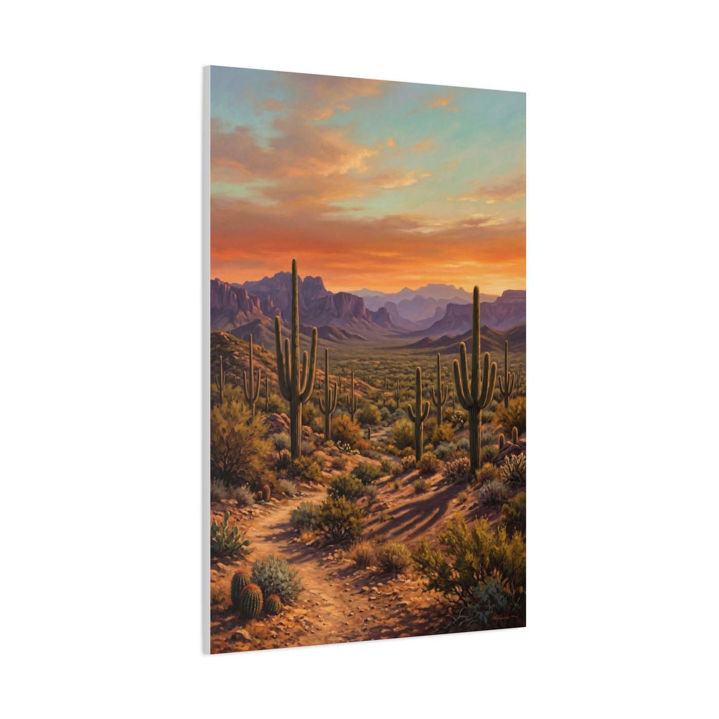Sonoran Desert Panorama Southwest Wall Art & Canvas Print