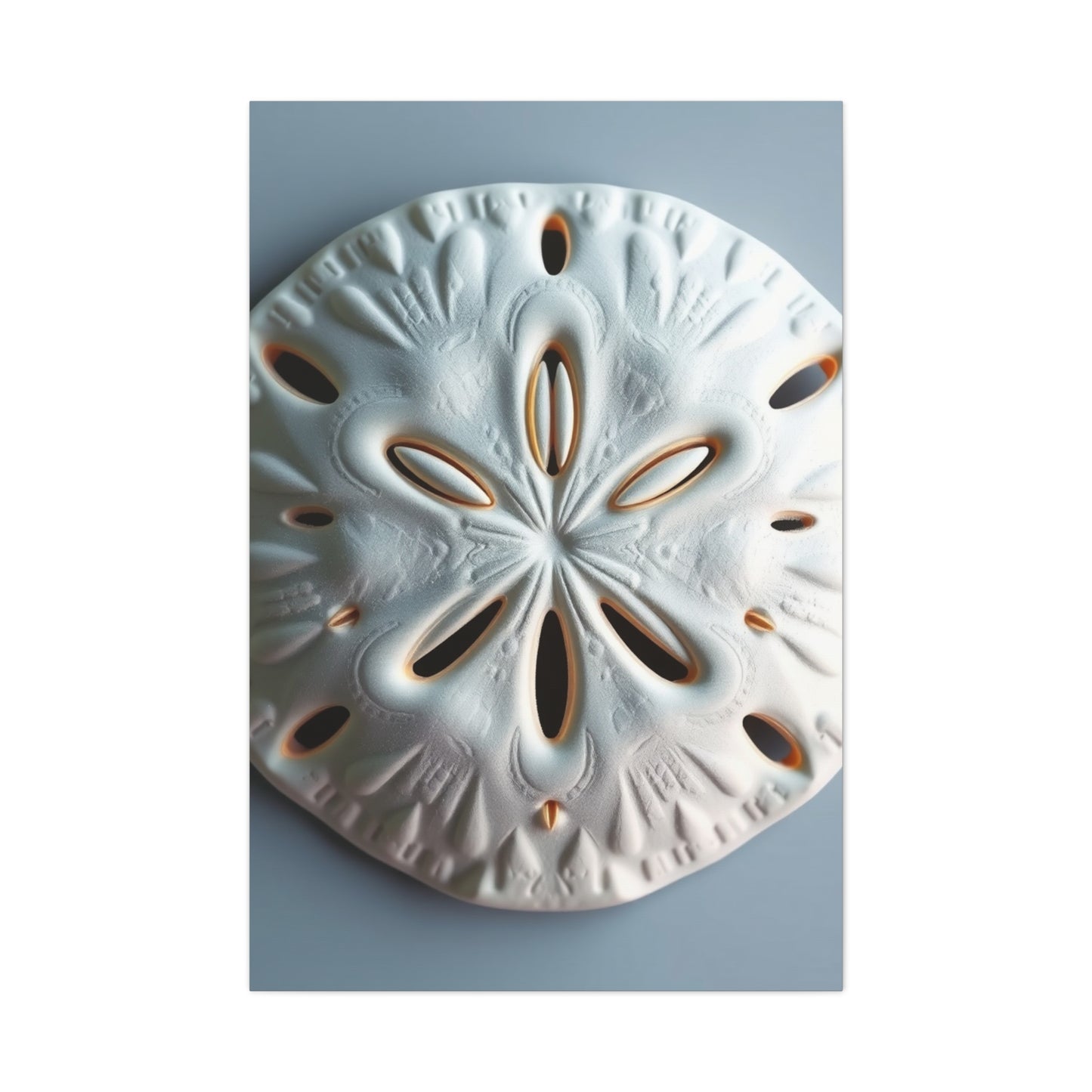 Supreme Sand Dollar Art Beautiful Collection Wall Art & Canvas Print