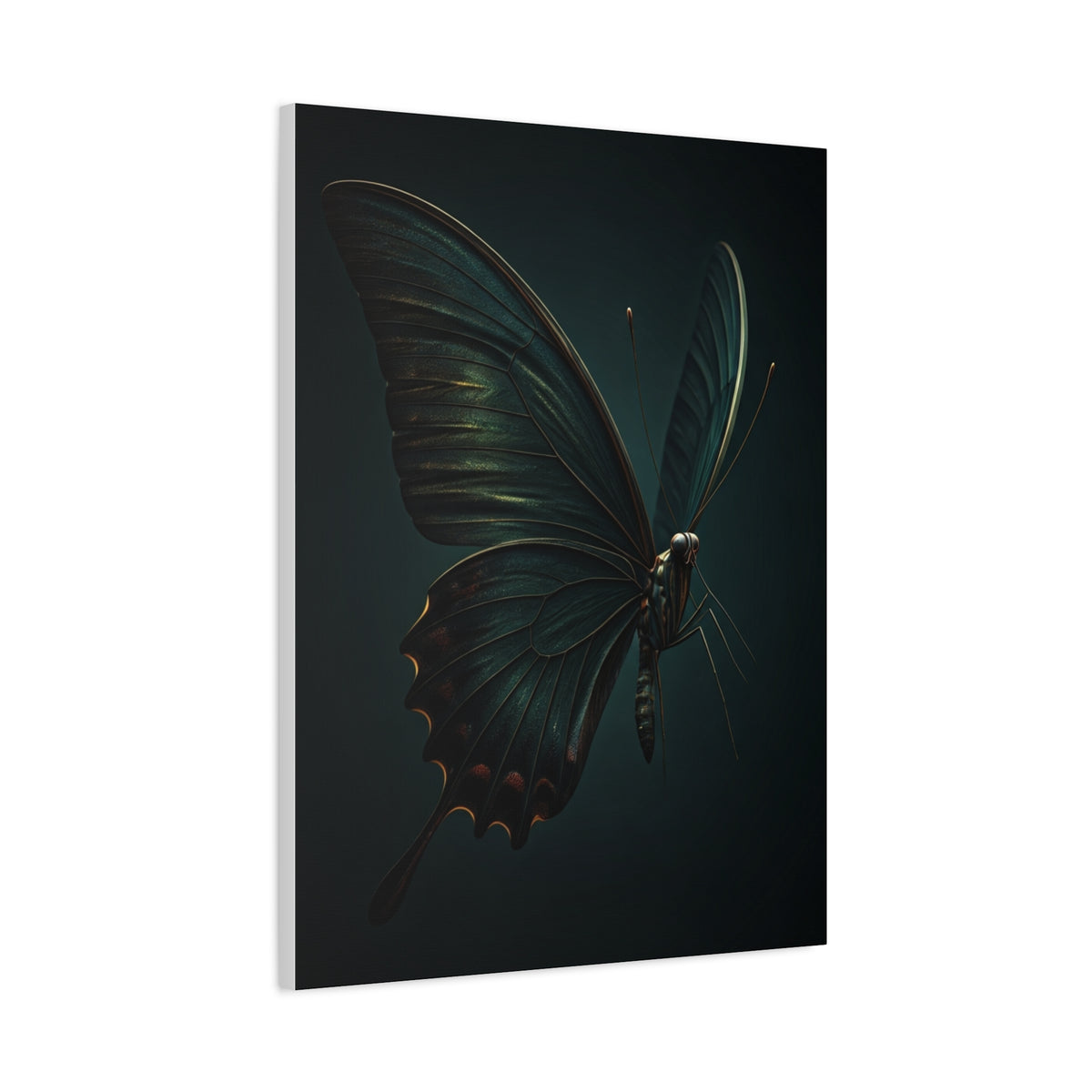 Dark Swallowtail Butterfly Profile Study Wall Art & Canvas Prints