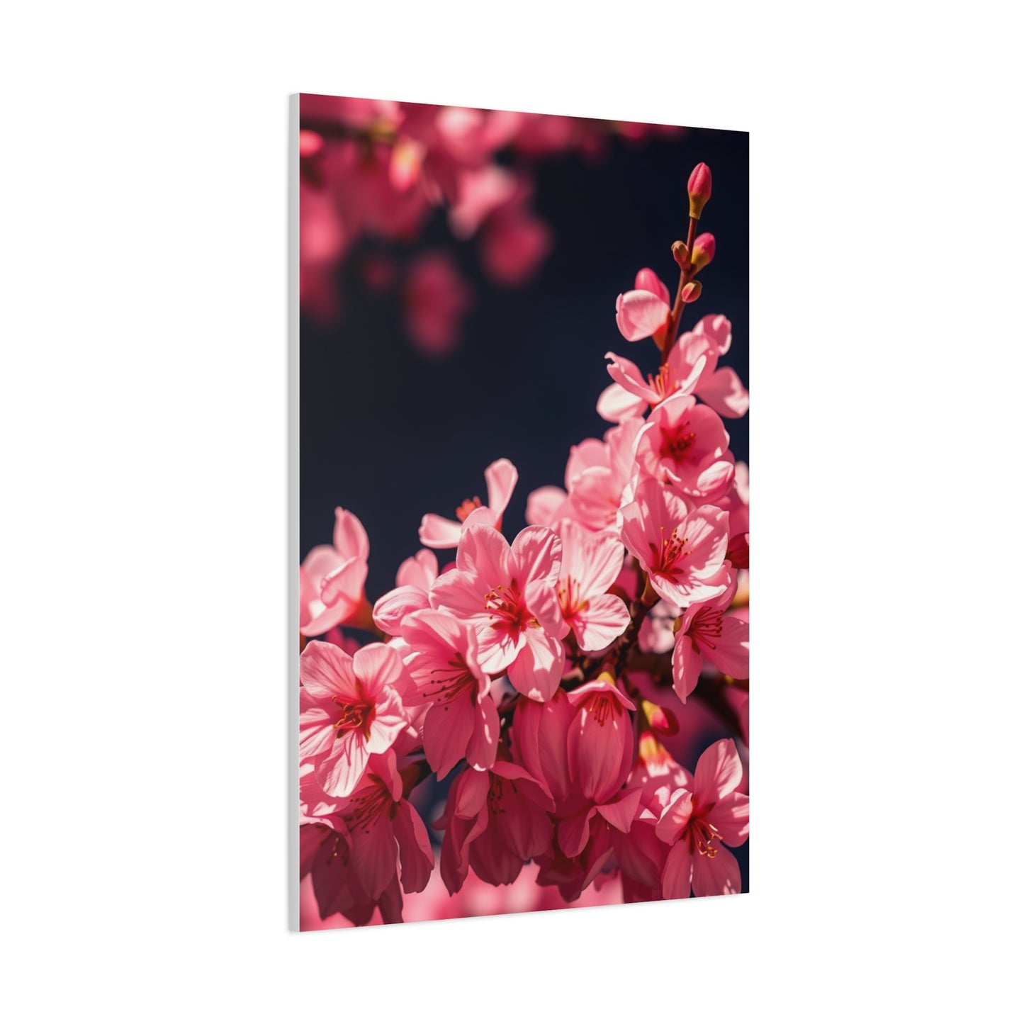 Elite Cherry Blossom Wall Art Vision Wall Art & Canvas Print