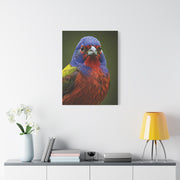 Vibrant Colorburst Sparrow Portrait Wall Art & Canvas Prints