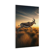 Antelope Leap Across the Plains Wall Art & Canvas Prints