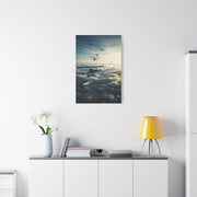 Vintage Biplane Squadron Flight Wall Art & Canvas Prints