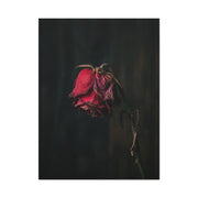 Withered Crimson Rose Still Life Wall Art & Canvas Print