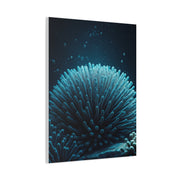 Coral Reef Glow in Deep Blue Ocean Wall Art & Canvas Prints