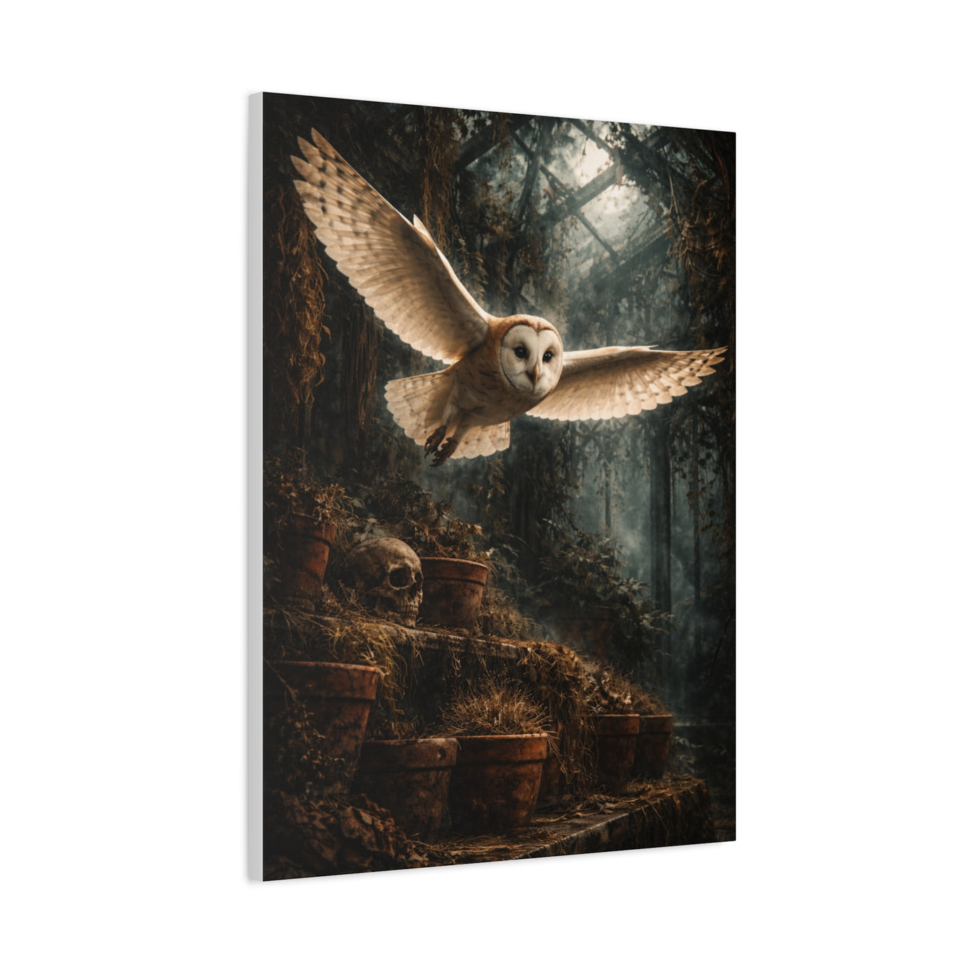 Gothic Greenhouse Flying Barn Owl Wall Art & Canvas Print