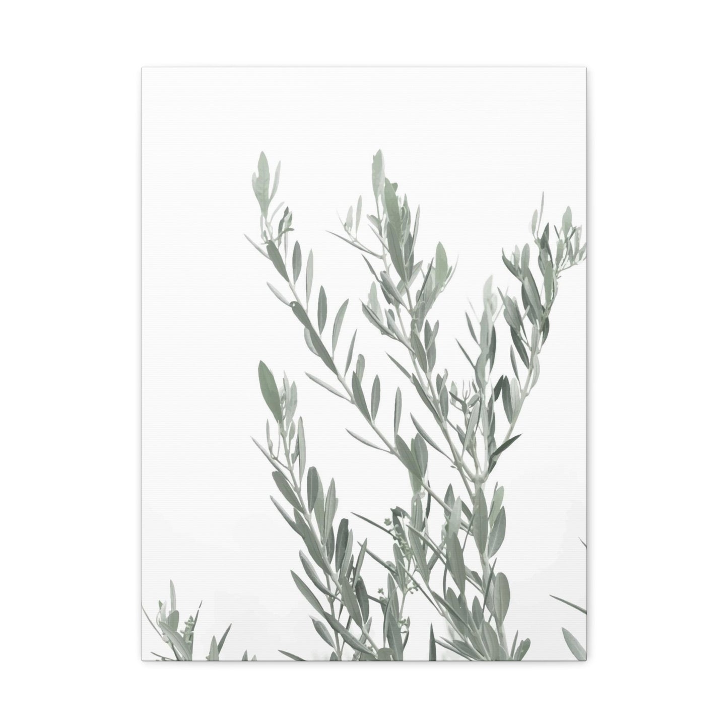 Leafy Wall Art & Canvas Prints