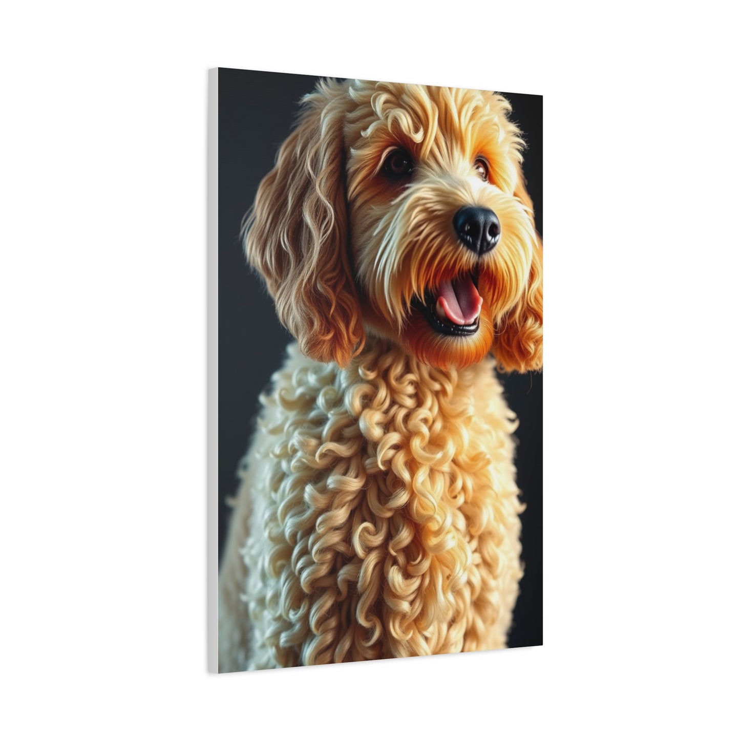 Supreme Art Golden Doodle Art Collection Wall Art & Canvas Print