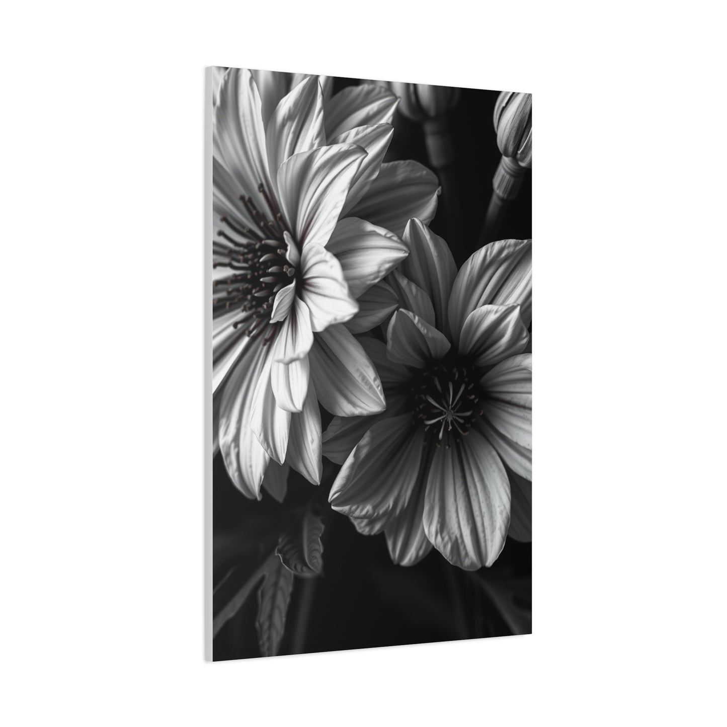 Opulent Petals in Duotone Wall Art & Canvas Print