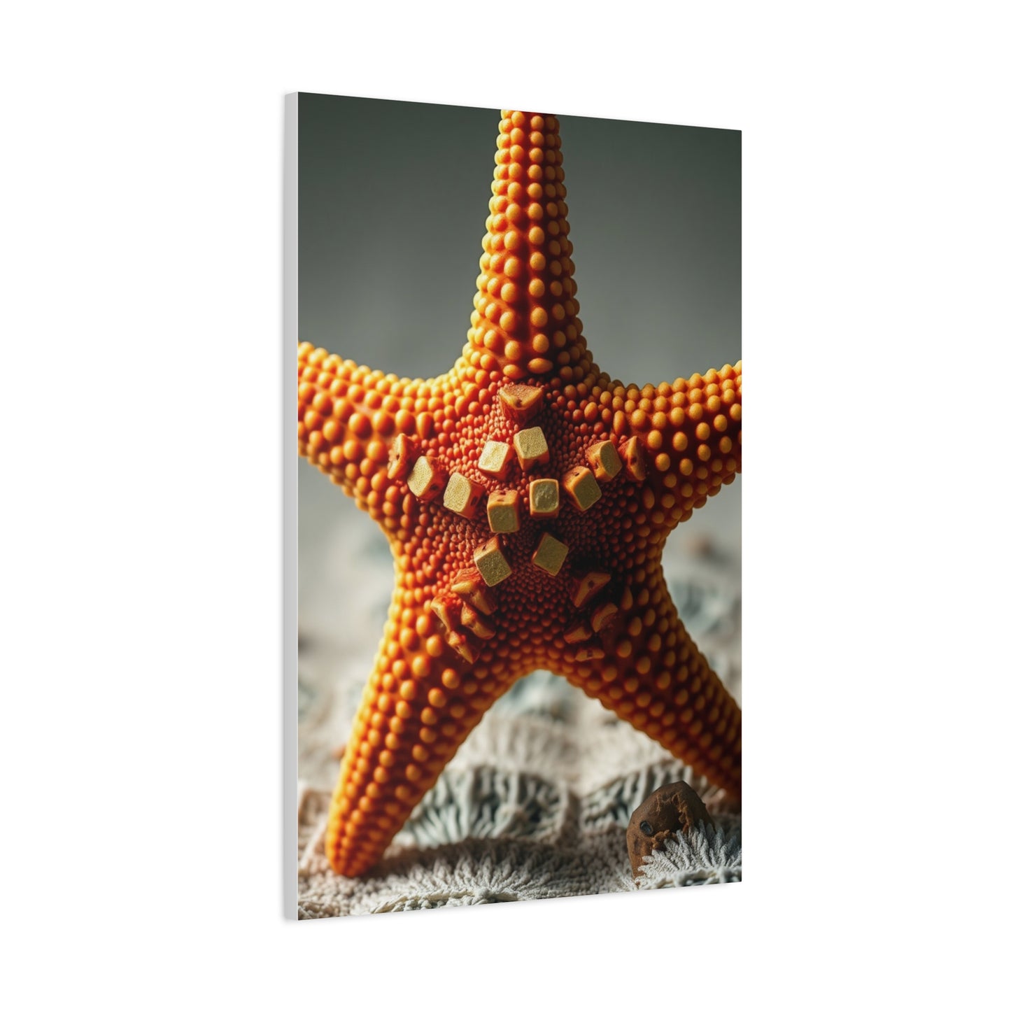 Supreme Starfish Art Beautiful Collection Wall Art & Canvas Print