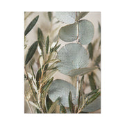 Botanical Eucalyptus Close-Up Wall Art & Canvas Print