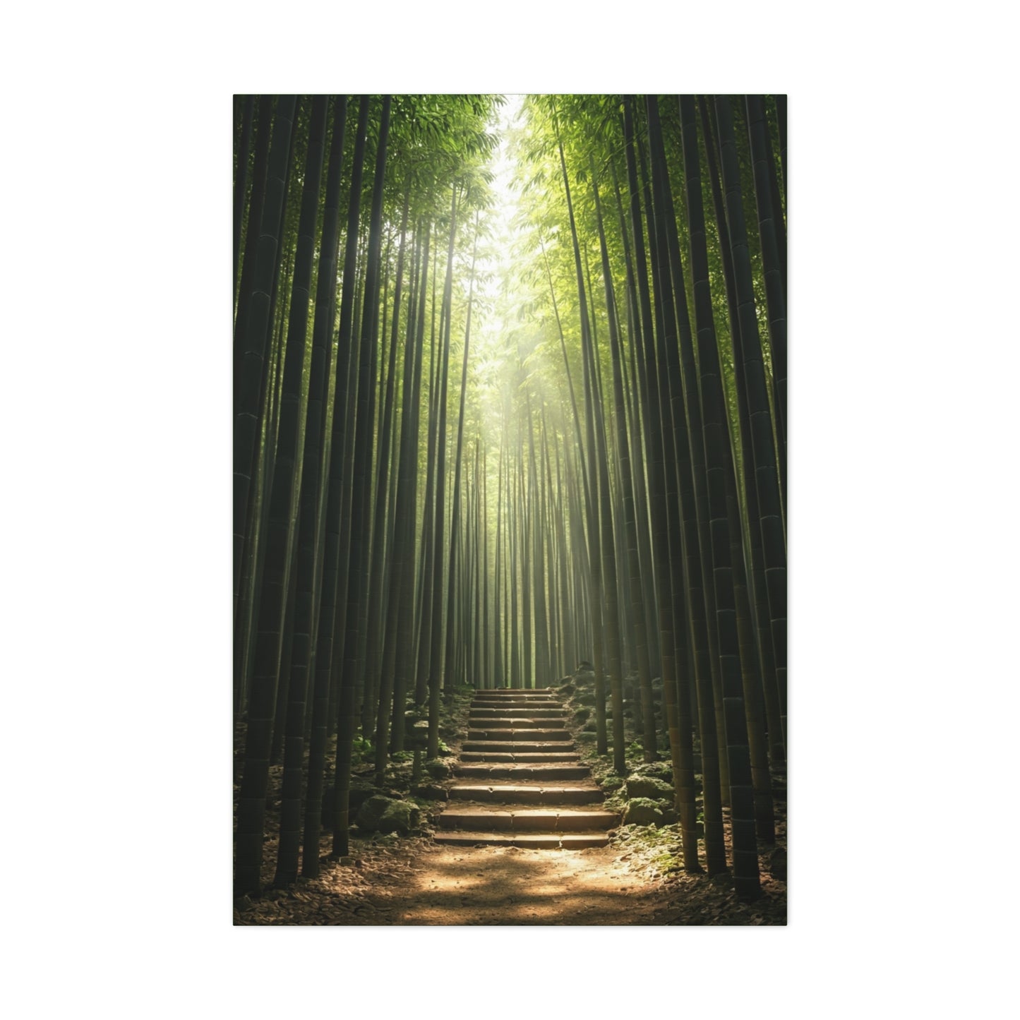 Bamboo Path of Tranquility Wall Art & Canvas Prints