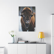 Minimalist American Bison Portrait on Light Background Wall Art & Canvas Print