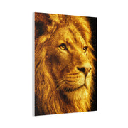 Golden Lion Portrait Wall Art & Canvas Print