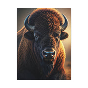 Golden Prairie Rim-Lit Bison Portrait Wall Art & Canvas Print