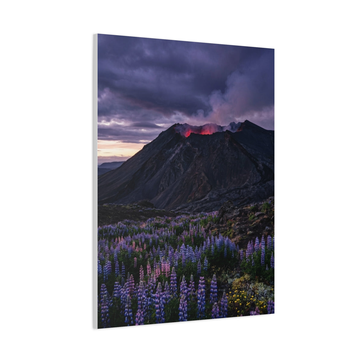 Volcanic Twilight & Wild Lupines Wall Art & Canvas Print