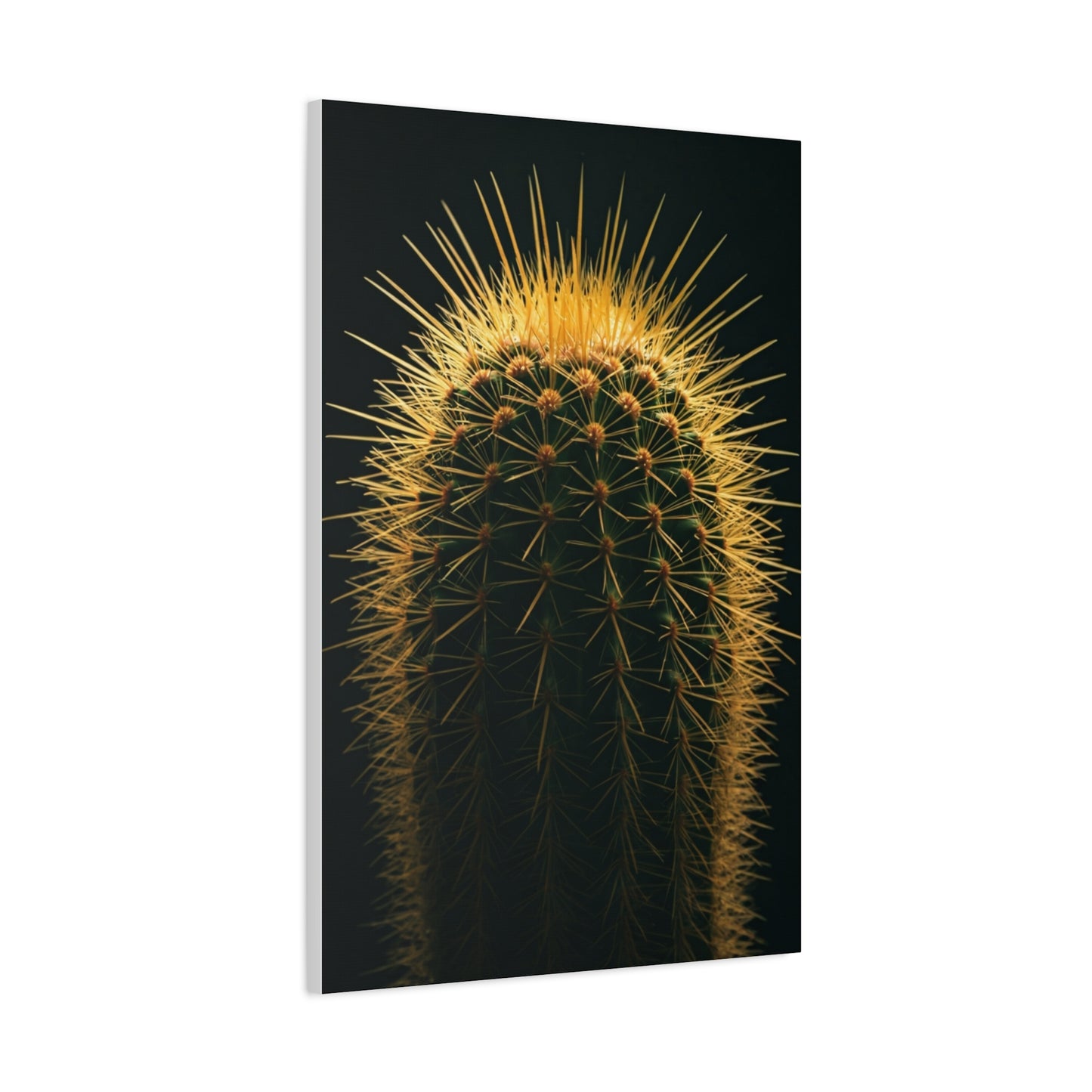 Golden Halo Cactus Sculpture Wall Art & Canvas Prints