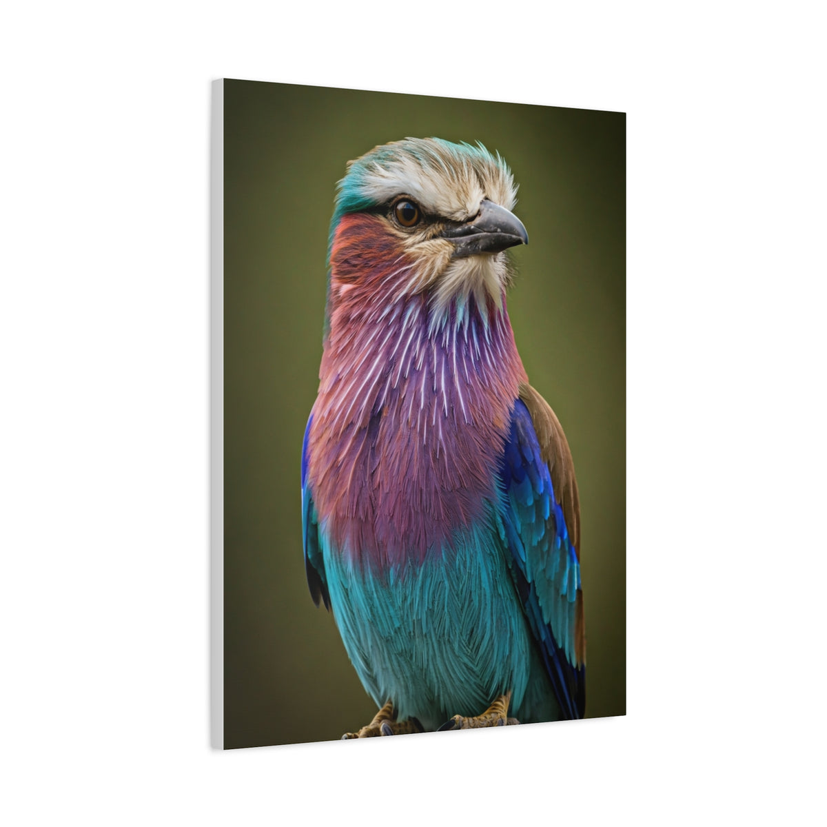 Lilac-Breasted Roller Serenity Wall Art & Canvas Prints