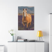 Palomino in Lavender Field Wall Art & Canvas Print