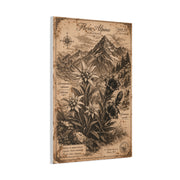 Antique Alpine Flora Engraving Wall Art & Canvas Print