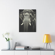 Regal Elephant Close-Up Wall Art & Canvas Prints