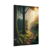 Sunlit Forest Path Enchantment Wall Art & Canvas Prints