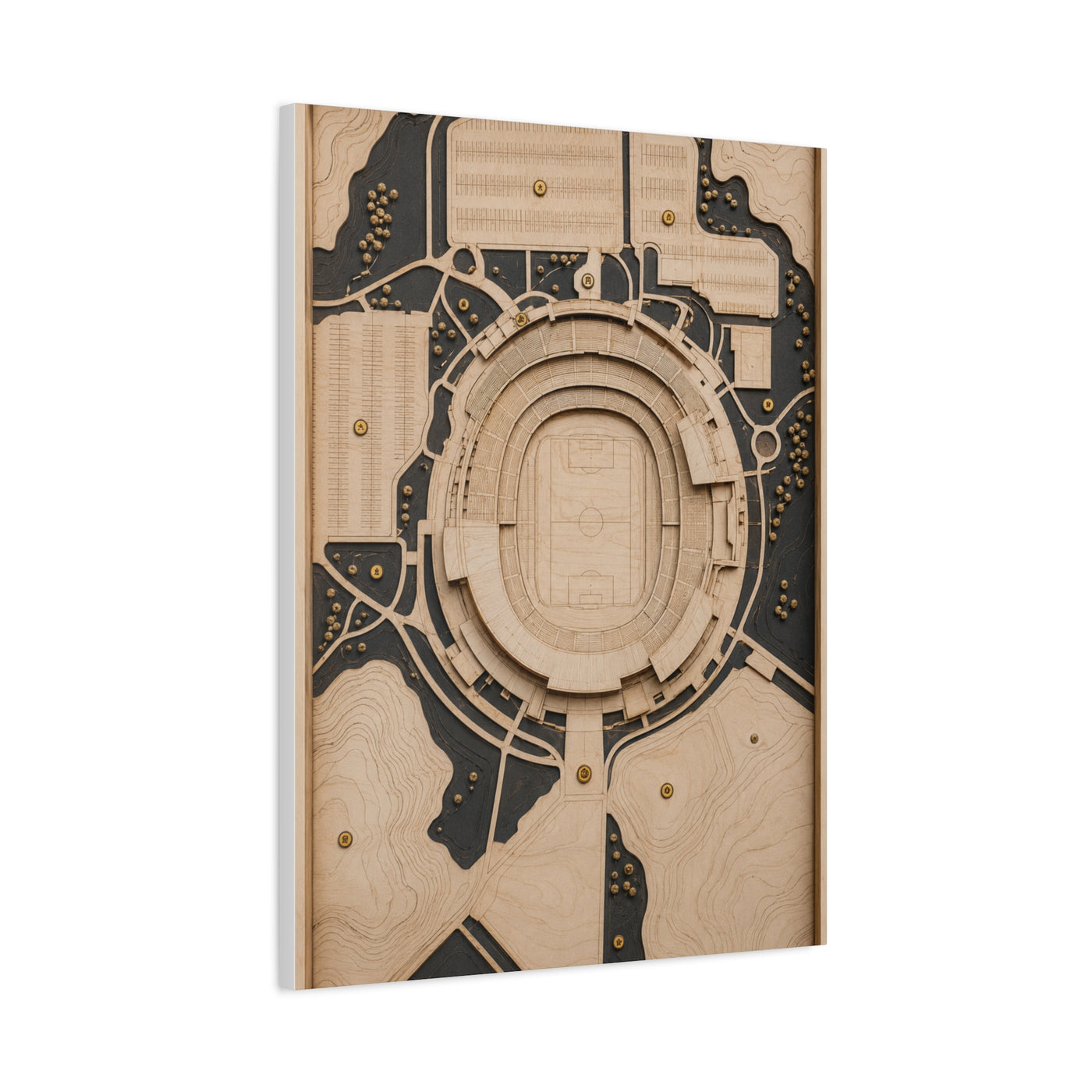 Topographic Stadium Map Sports Wall Art & Canvas Print