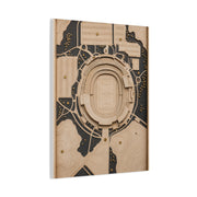 Topographic Stadium Map Sports Wall Art & Canvas Print
