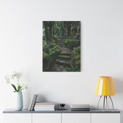Green Moss-Covered Garden Staircase Wall Art & Canvas Print