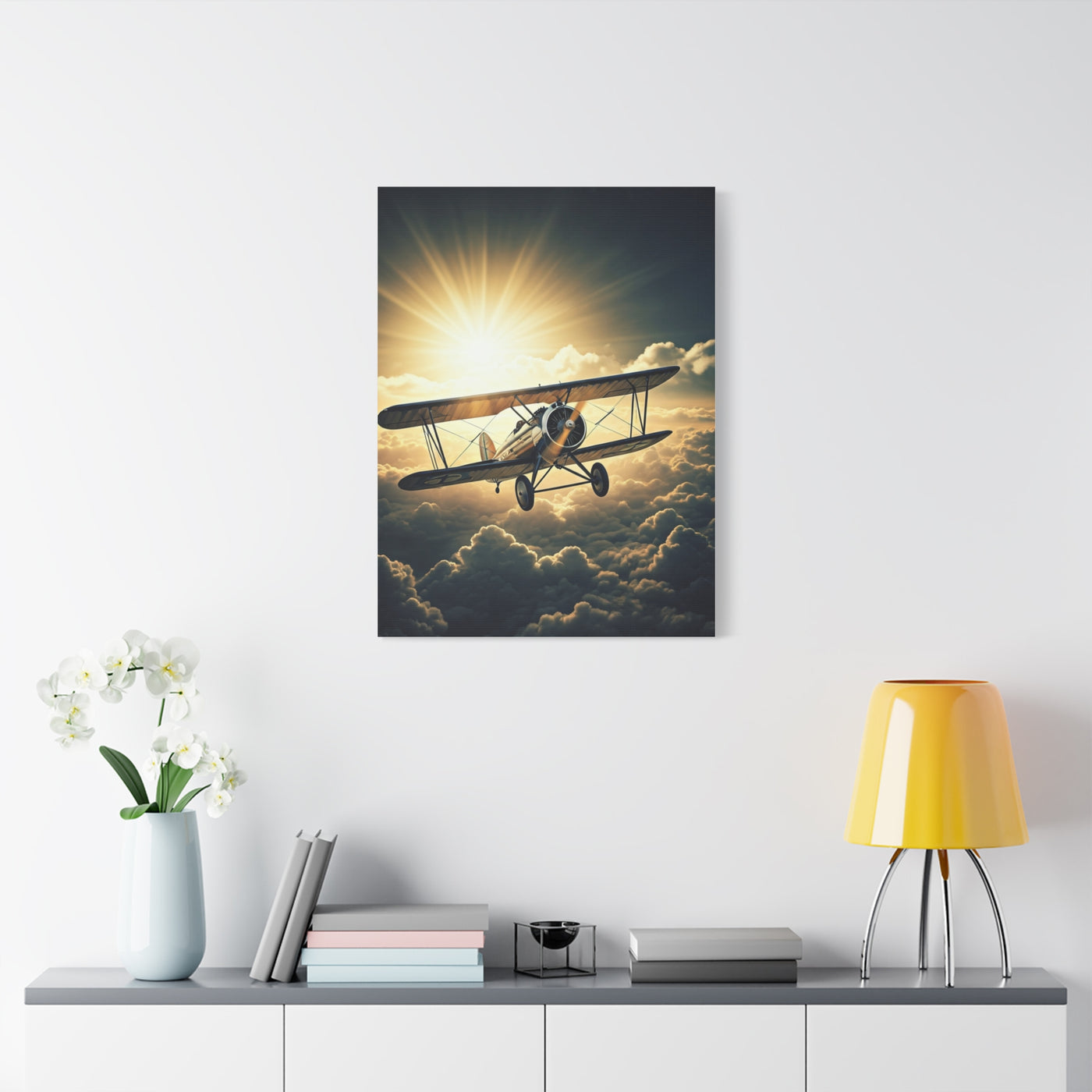 Sunlit Vintage Biplane Flight Wall Art & Canvas Prints