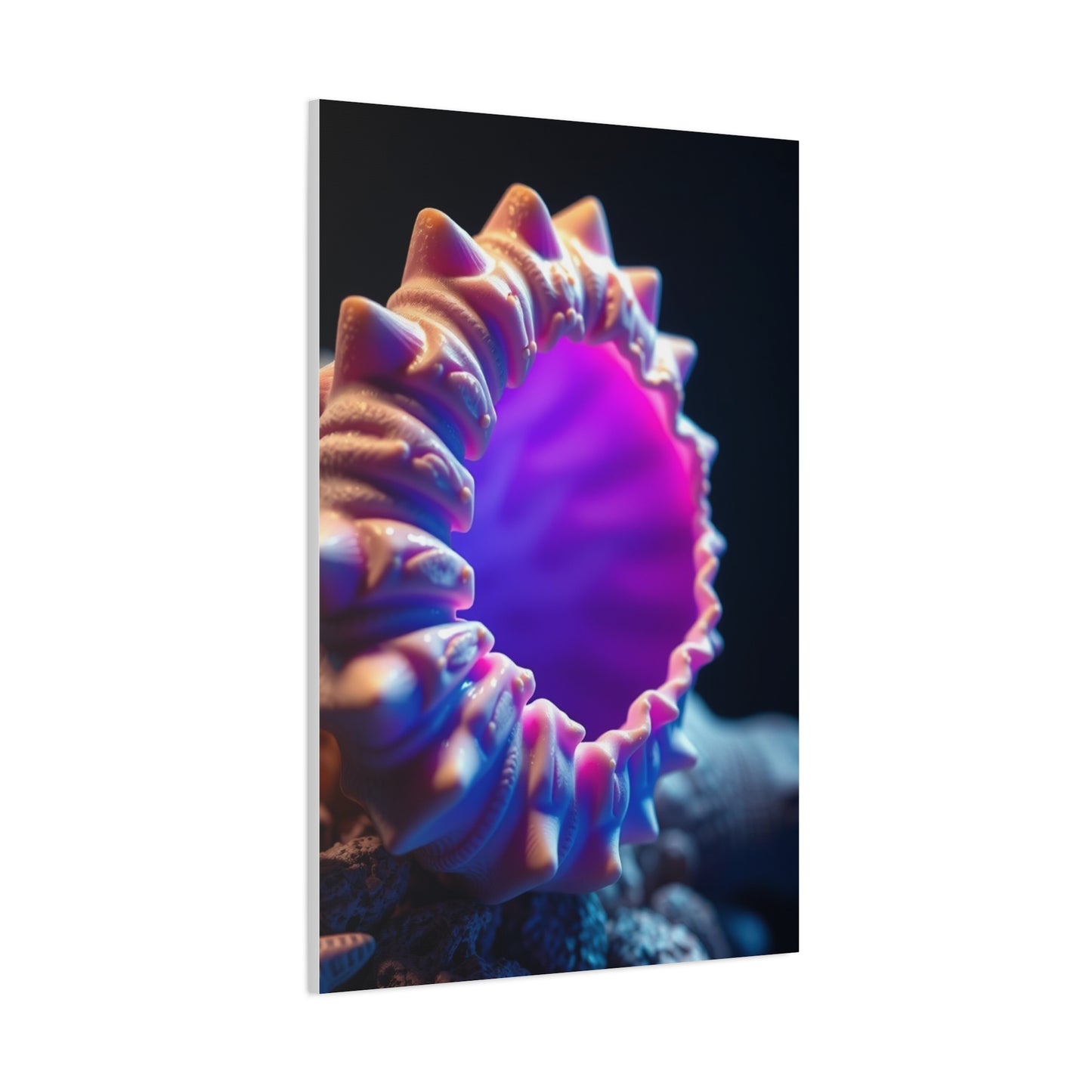 Supreme Sea Shell Art Beautiful Collection Wall Art & Canvas Print