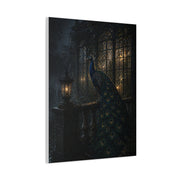 Gothic Night Peacock Balcony Wall Art & Canvas Print