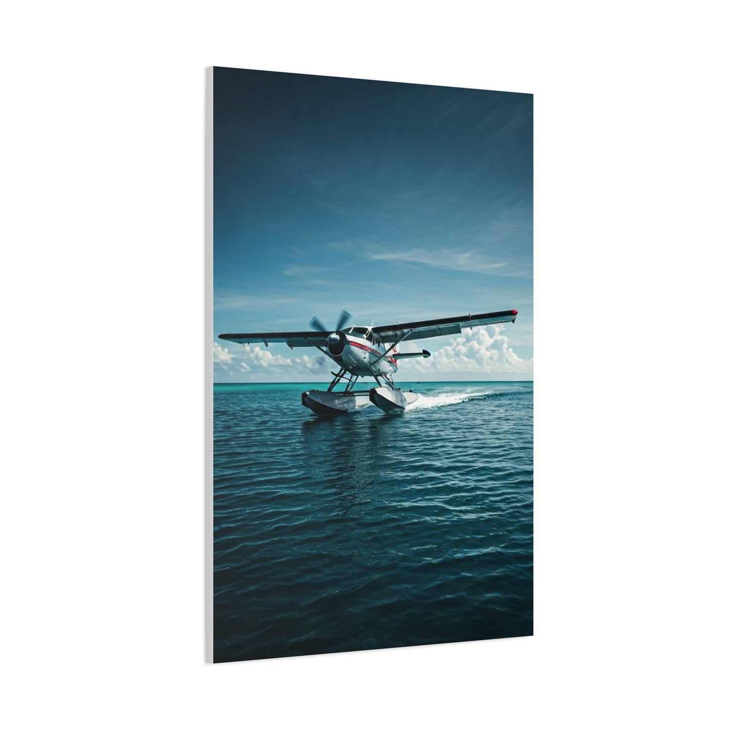 Seaplane Landing Adventure Wall Art & Canvas Prints