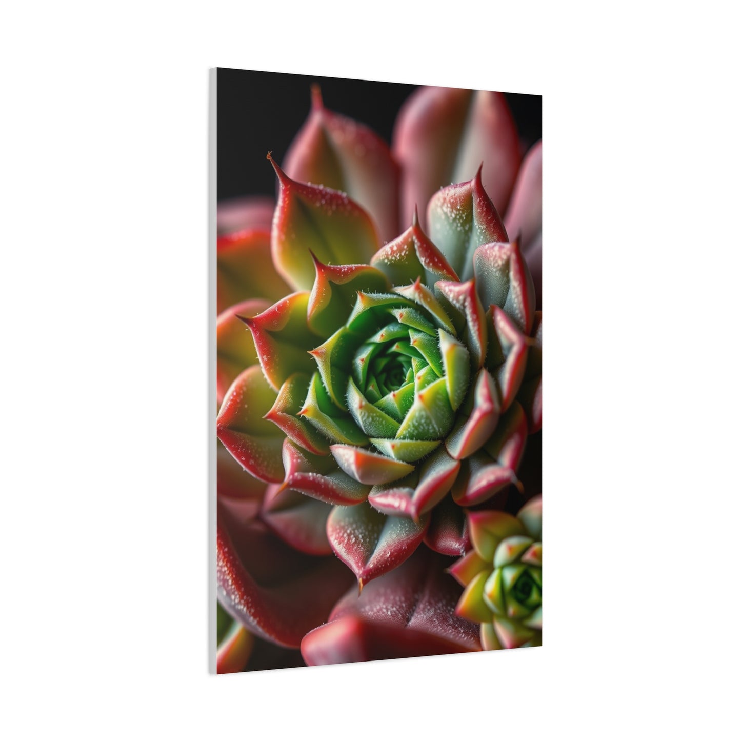 Vision Succulent Art Art Wall Art & Canvas Print