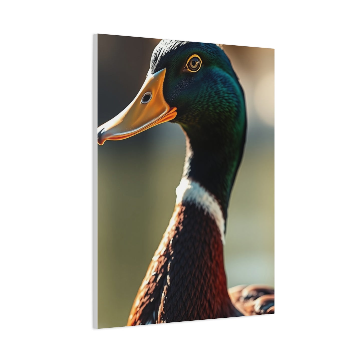 Supreme Duck Art Beautiful Collection Wall Art & Canvas Print