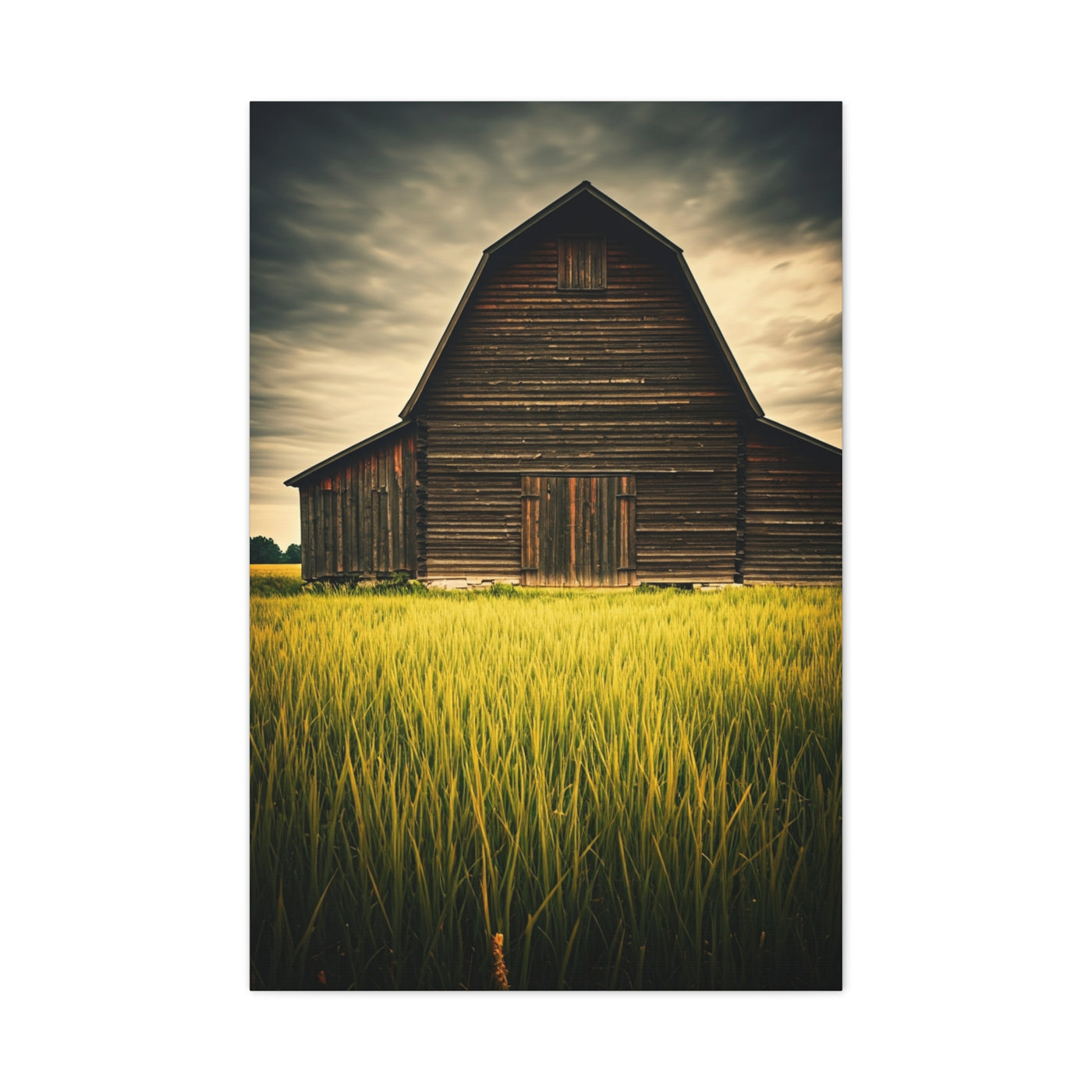 Weathered Barn in Tall Green Fields Wall Art & Canvas Prints