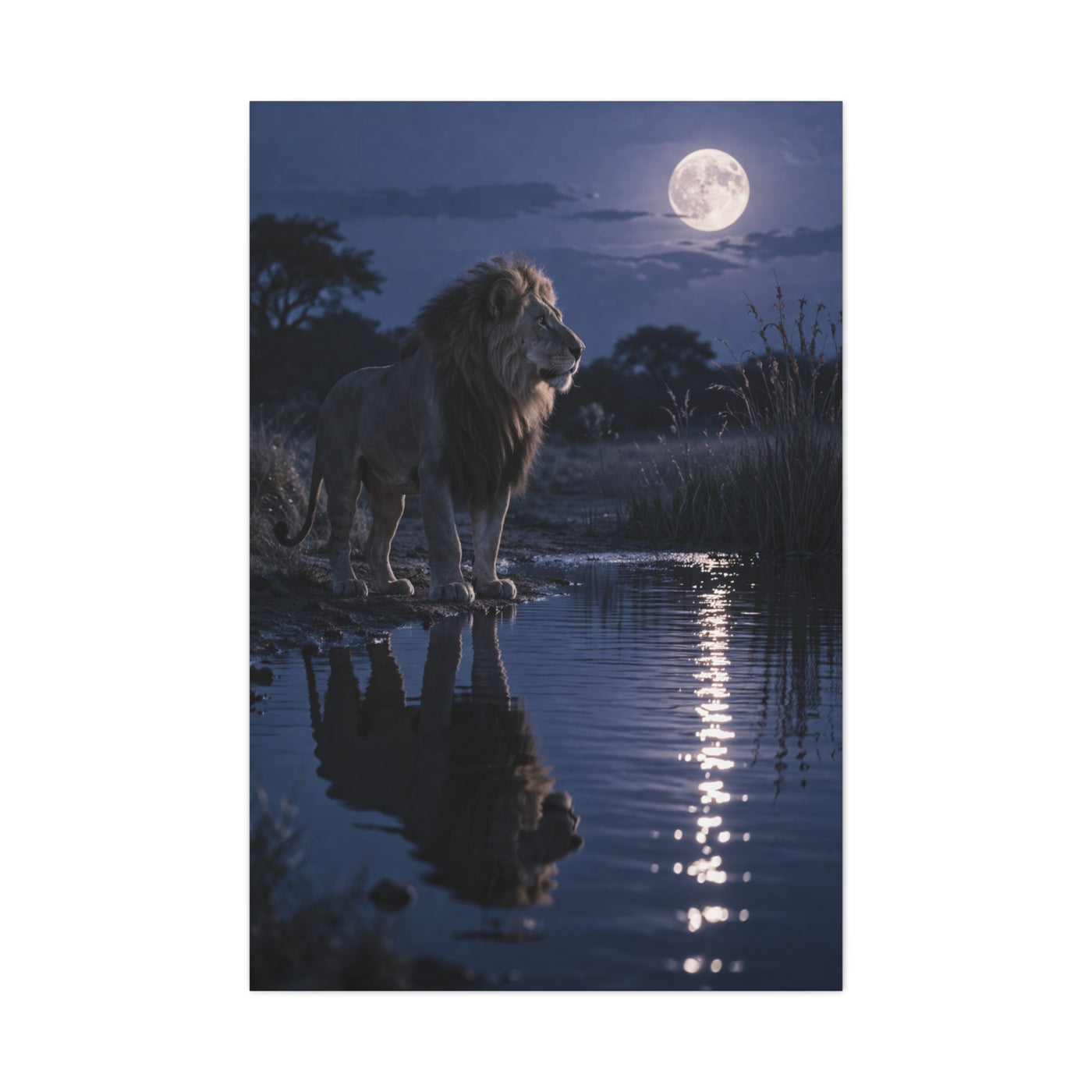 Lion by Moonlit Water Reflection Wall Art & Canvas Print