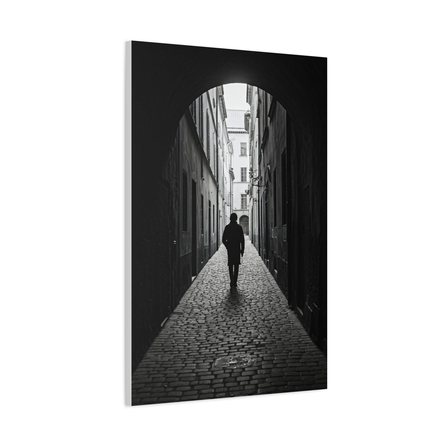 Solitary Alley Silhouette Wall Art & Canvas Prints