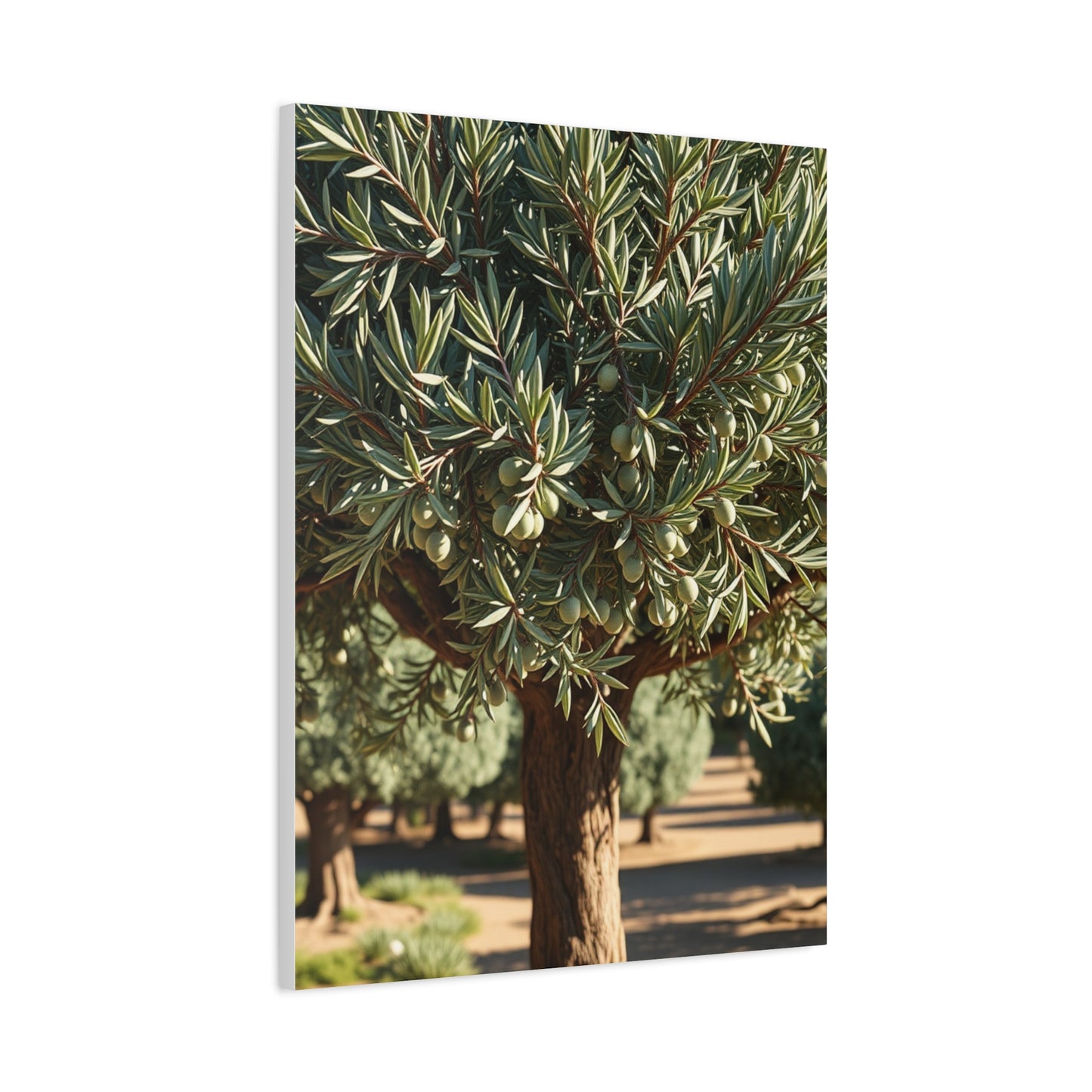 Olive Tree Art Supreme Canvas Wall Art & Canvas Print