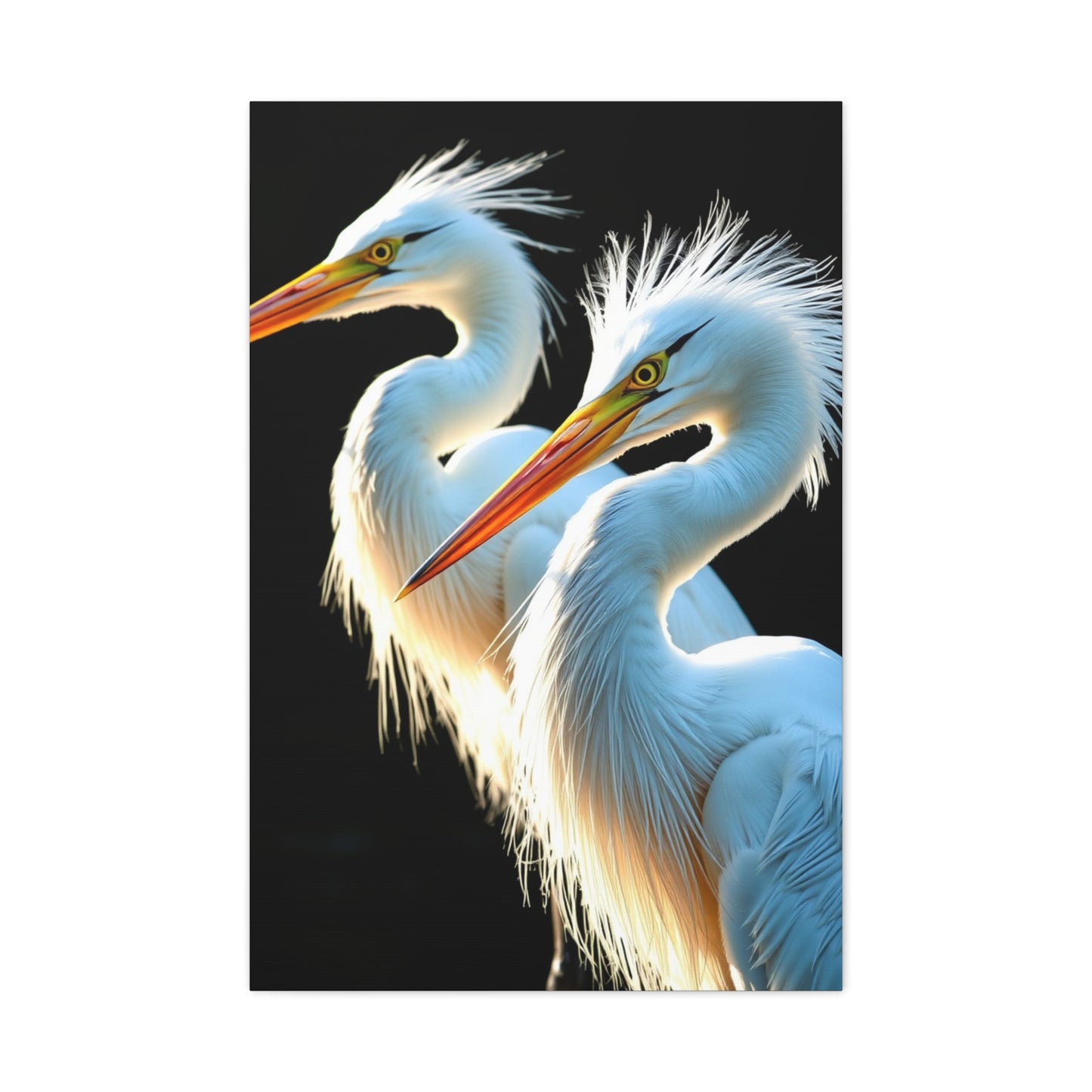 Herons and Egrets Art Supreme Canvas Wall Art & Canvas Print